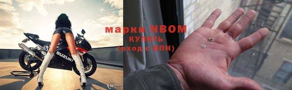 дмт Алзамай