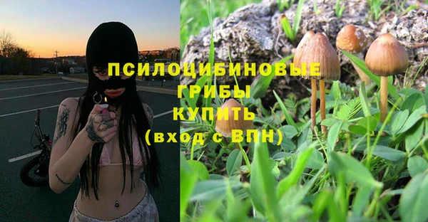 кокаин премиум Алексеевка